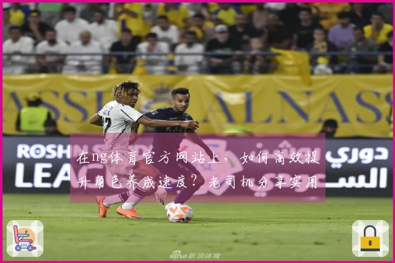 在ng体育官方网站上，如何高效提升角色养成速度？老司机分享实用小技巧！