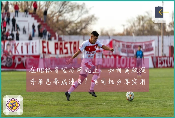 在ng体育官方网站上，如何高效提升角色养成速度？老司机分享实用小技巧！